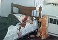 Body of Kristen MacDonald in north bedroom